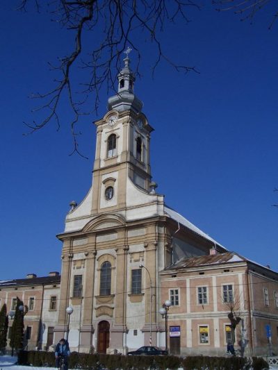 (cod 3131) Biserica Romano-Catolică Sfântul Carol Borromeo, Sighetu Marmației