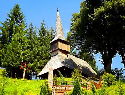 (cod 4817) Biserica din lemn Nașterea Maicii Domnului din Bucea