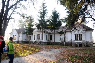 (cod 3388) Castelul Kelemen Mikeș, Budila