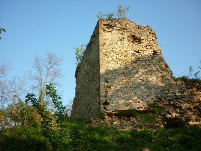 (cod 2403) Cetatea Cuiești, Bocșa
