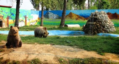 (cod 5334) Grădina Zoologică, Târgoviște