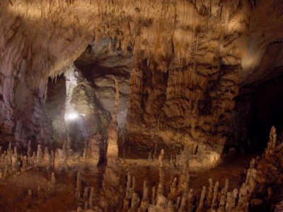 (cod 2459)  Peștera Buhui
