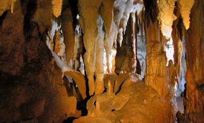 (cod 6545) Peștera Closani