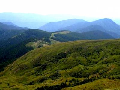 (cod 3654) Rezervația naturală Pârâul Bozu