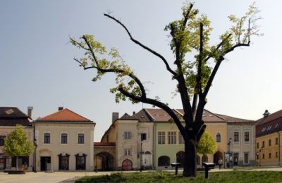 (cod 3137) Casa Elisabeta, Baia Mare