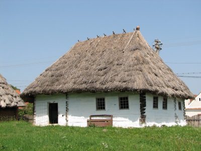 (cod 3880) Casa memorială Badea Cârţan