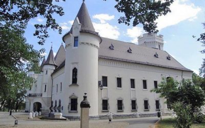 (cod 6001) Castelului Karolyi din Carei