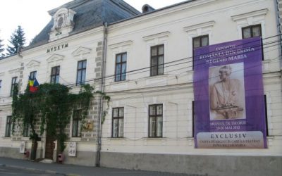 (COD 3020) &#8211; Complexul Muzeal Bucovina