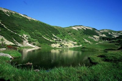 (cod 2451) Munții Țarcu