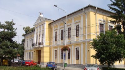(cod 2614) Muzeul de Istorie şi Arheologie Alexandru Ştefulescu