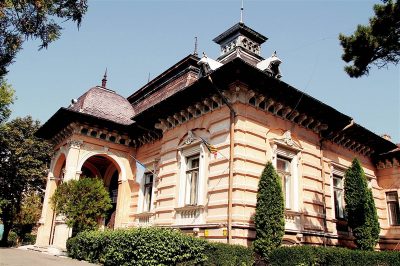 (cod 6319) Palatul Mavrocordat, Vaslui