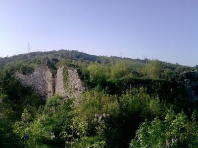 (cod 2461) Ruinele Cetății Carașova, Carașova